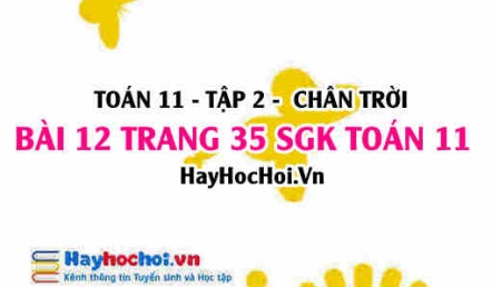 Bài 12 trang 35 Toán 11 tập 2 Chân trời sáng tạo